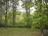 [ View this listing in a special slideshow! ]