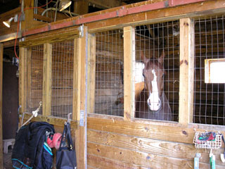 [ Click to tour the barn! ]