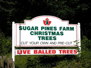 [ Click to tour the farm buildings and property! ]